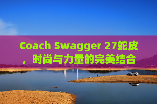 Coach Swagger 27蛇皮，时尚与力量的完美结合